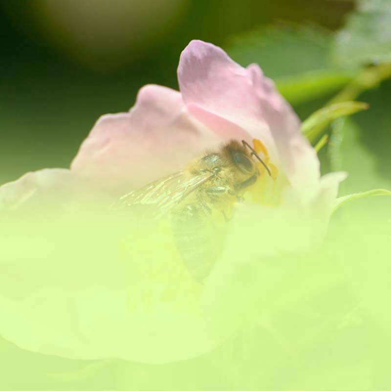 Zukunftsorientiert heizen