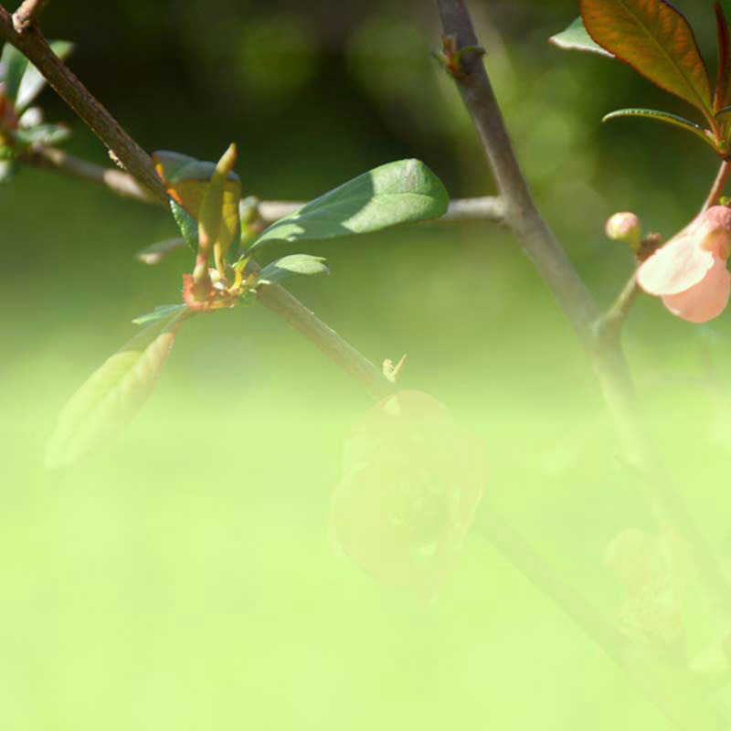 Balkonkraftwerk ausprobieren