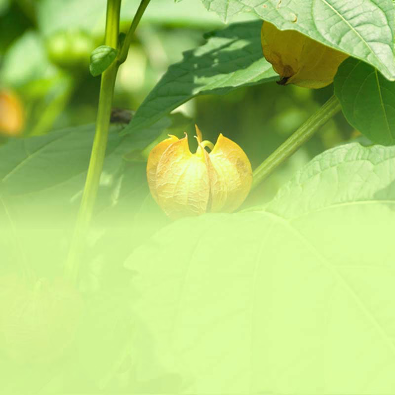 Freising packt`s an den Balkon! 1