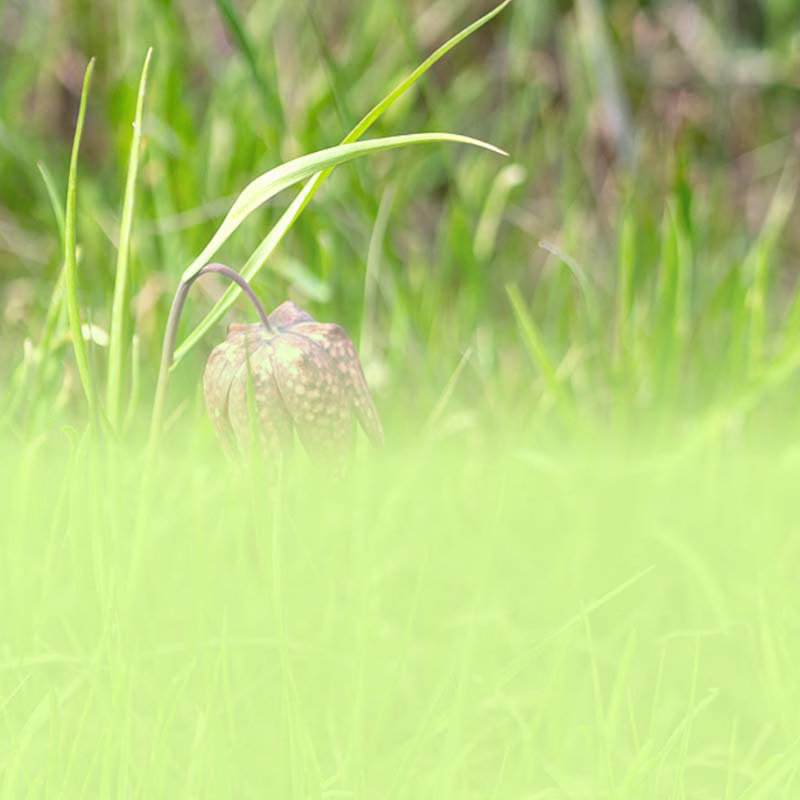 Moosburger Solartage