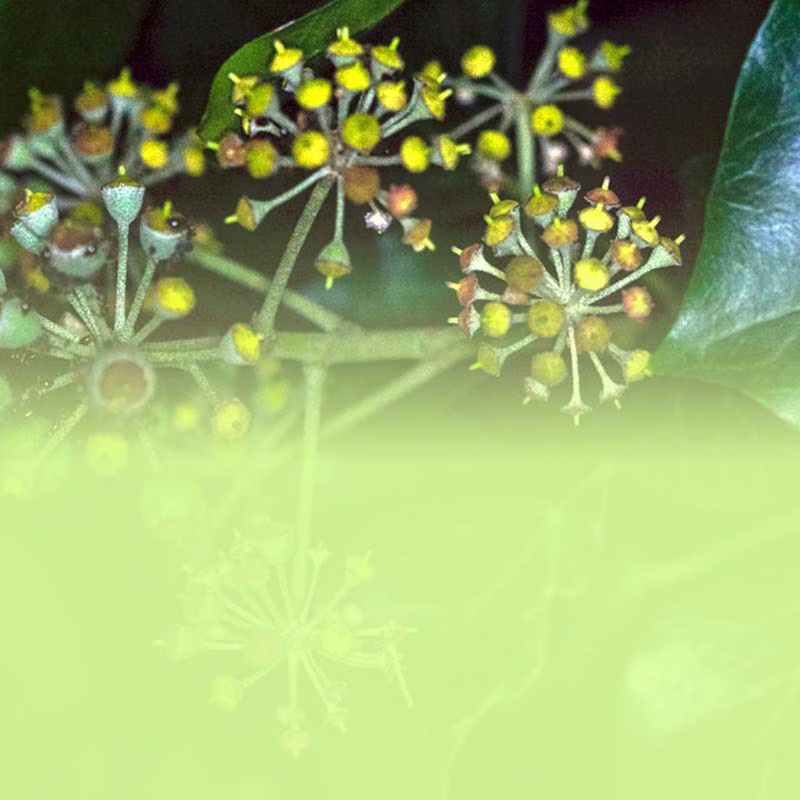 Unverpackt einkaufen