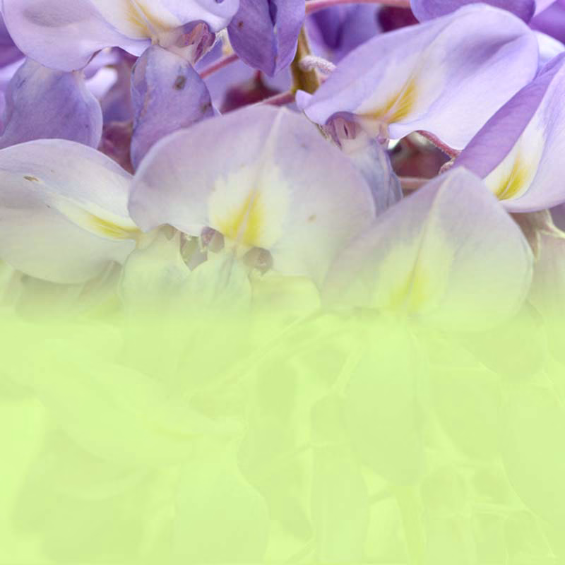 Ein Abend mit Kunst und Klima