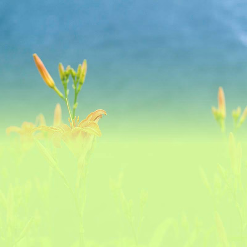 Ergebnisse Neugestaltung Bürgerplatz