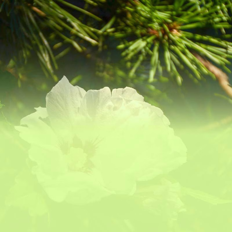 Radltour am Christi-Himmelfahrtstag